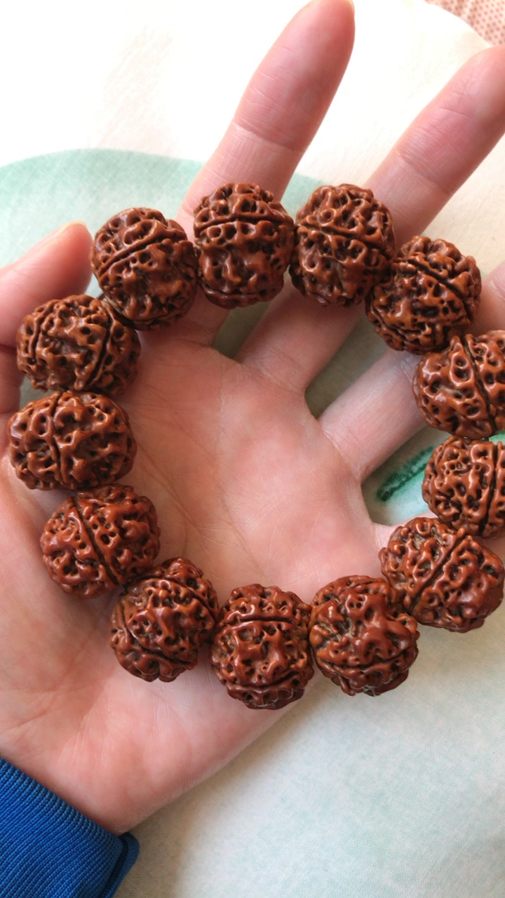 矮桩双龙爆肉大金刚盘玩3个月效果