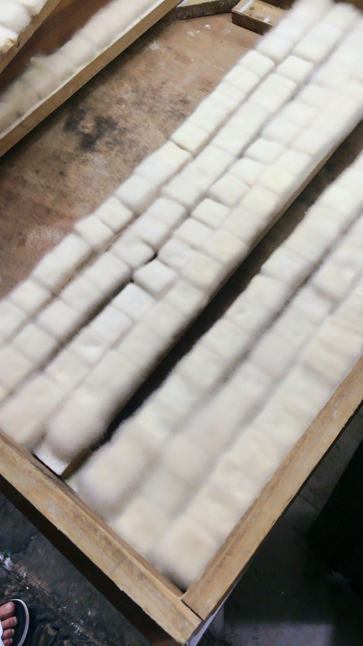 毛豆腐真的长毛