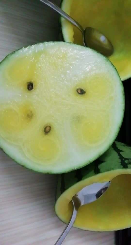 西瓜没熟好好看哦