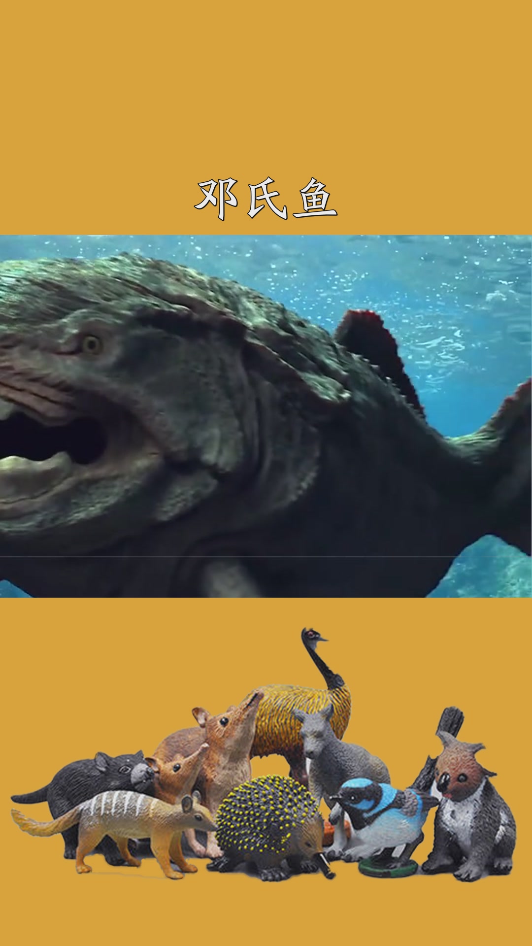 ֮,ֳƿ,ʳӾ𺳸60֡4k