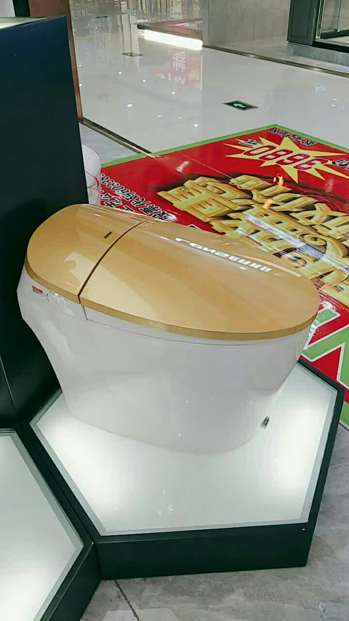 杜菲尼智能马桶,金色,高大上