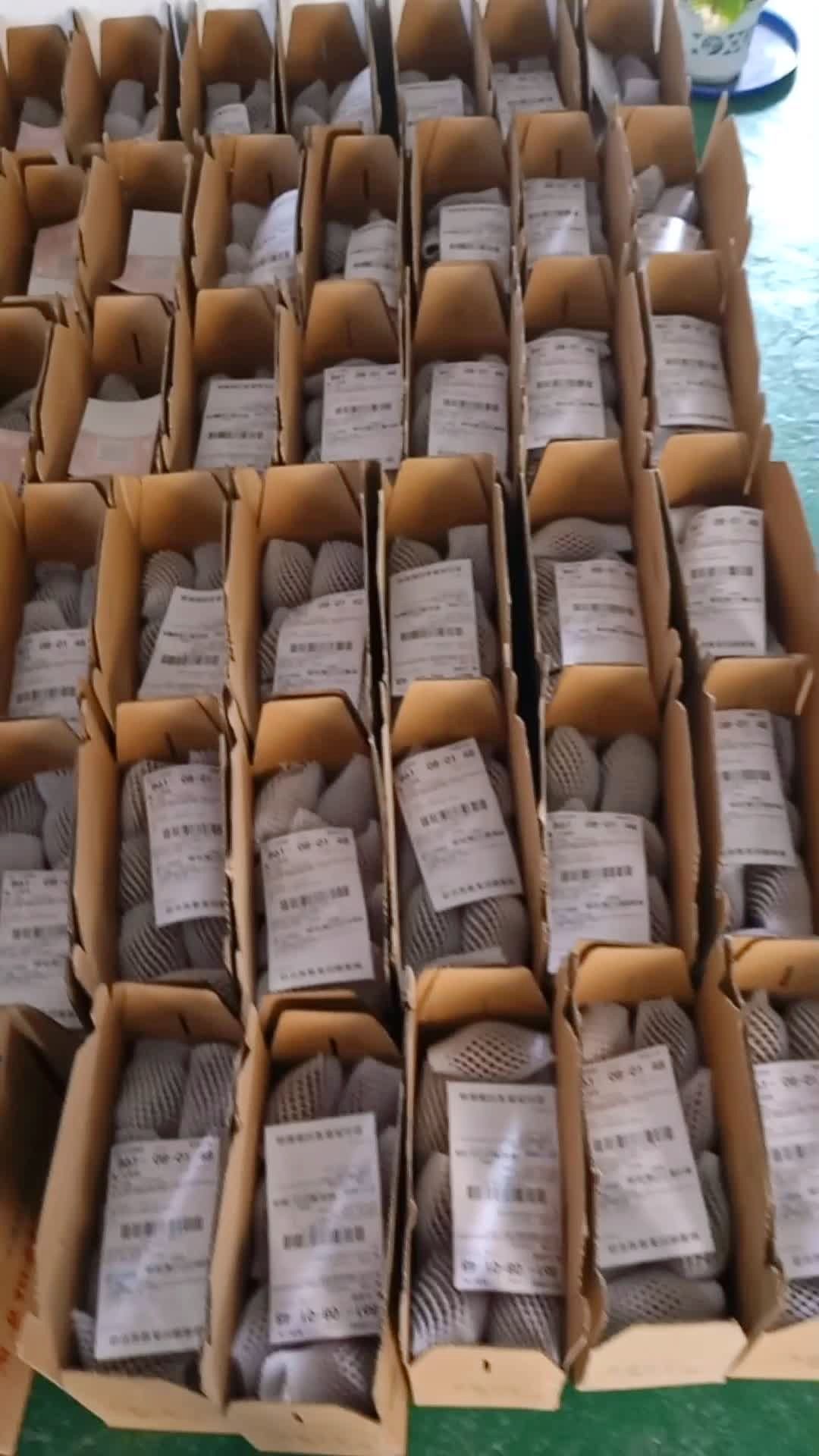 凯歌果园～猕猴桃准备发货了