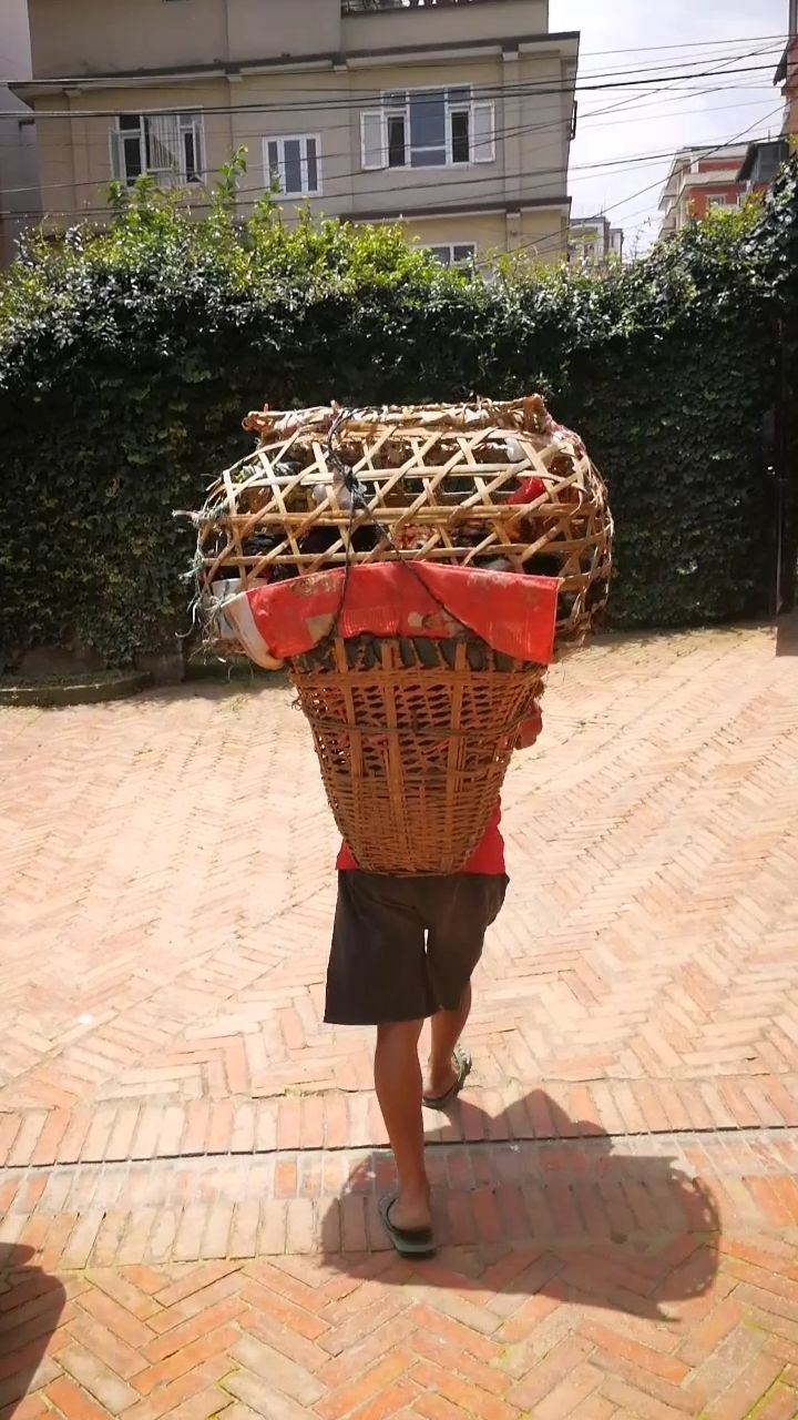 尼泊尔 老人背着竹笼走街串巷的卖土鸡1500卢比一只