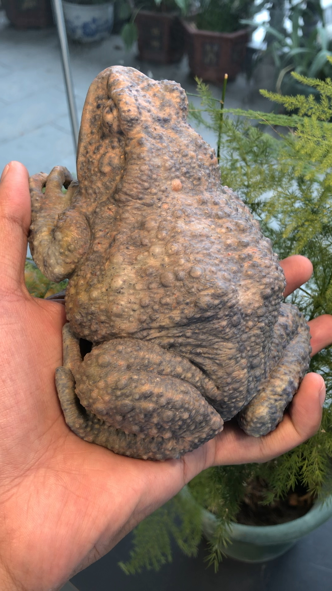 寿山石青蛙摆件