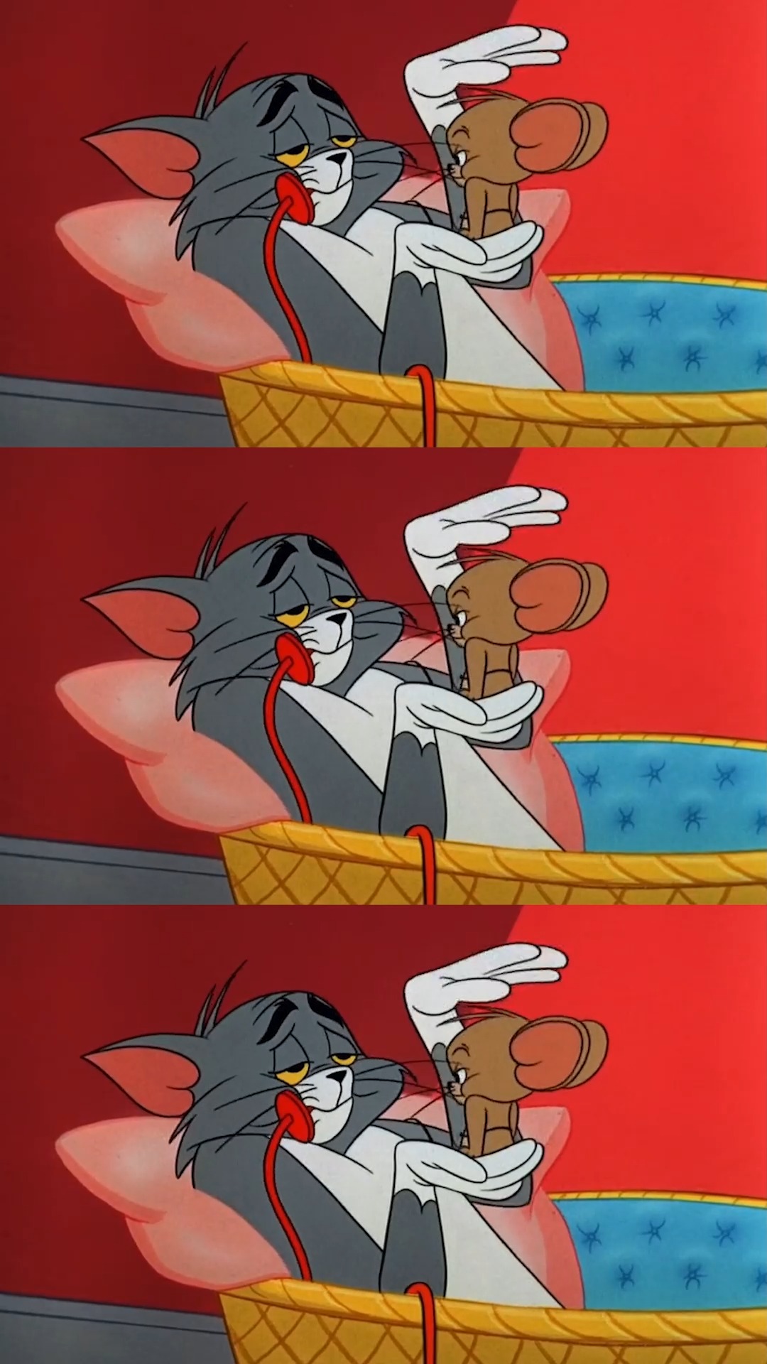 猫和老鼠 | 愿你心里有爱 眼中有光 抬头所见皆是柔情#猫和老鼠