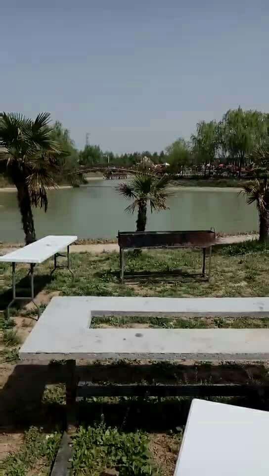 泗阳大禾庄园,偶遇哦