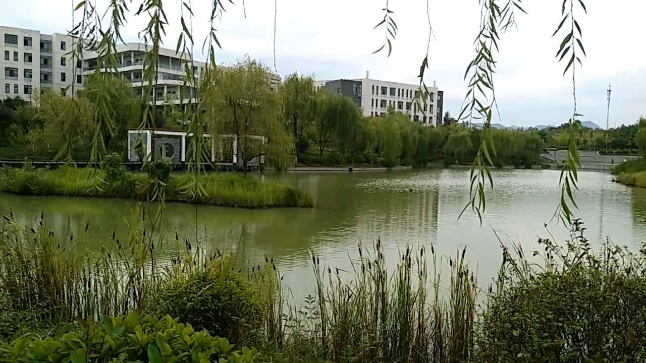 安康学院校内环境一角,非常美