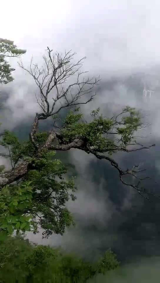 仙境美翻了[色][色][色]云里雾里的