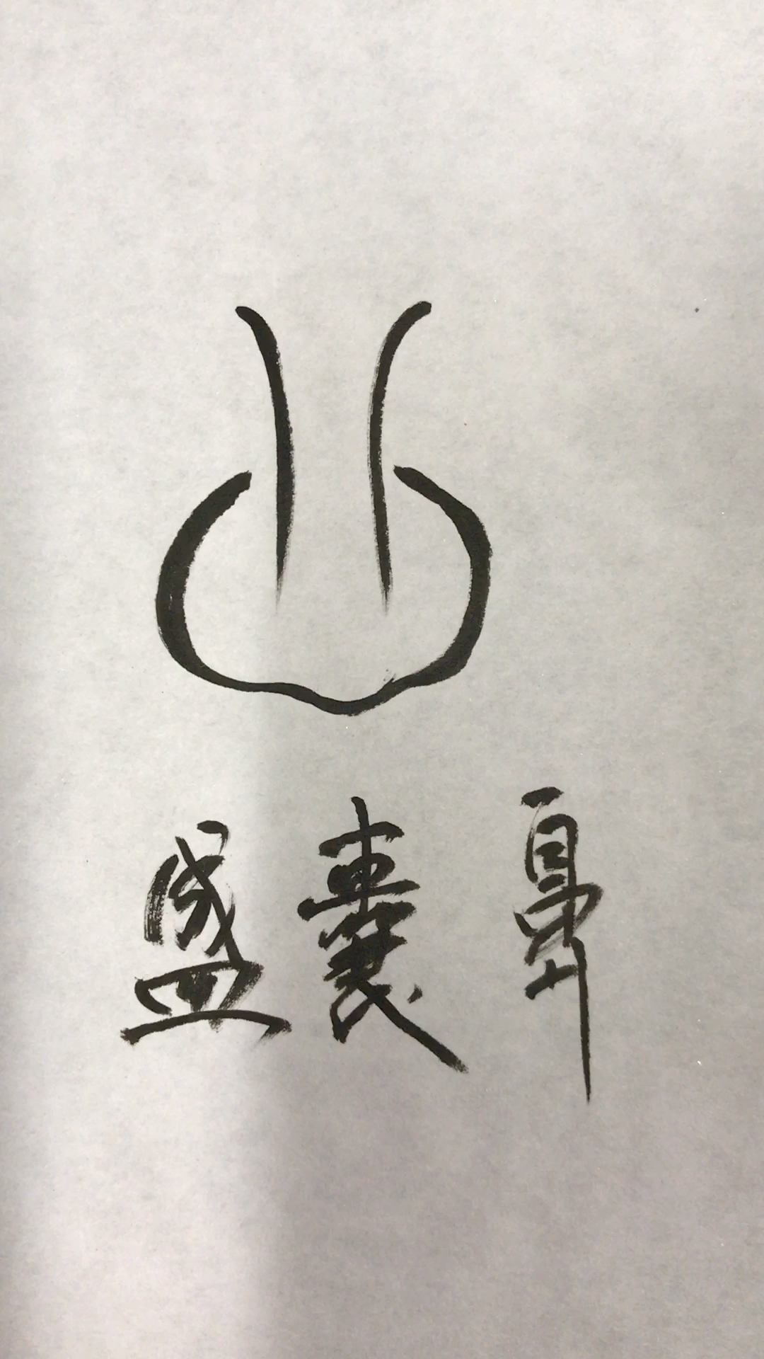 盛囊鼻子的面相特征