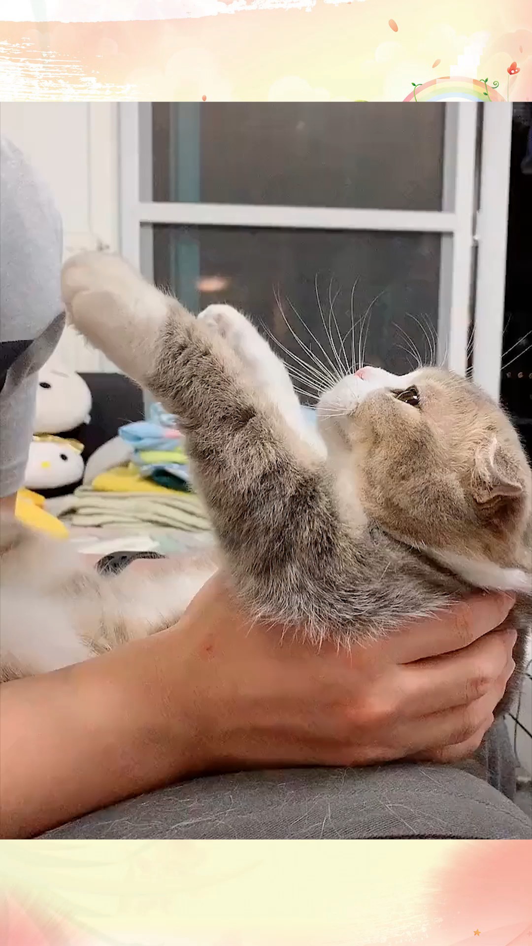 男人都是这么吸猫的吗,好过分,小猫脸上写满了开心