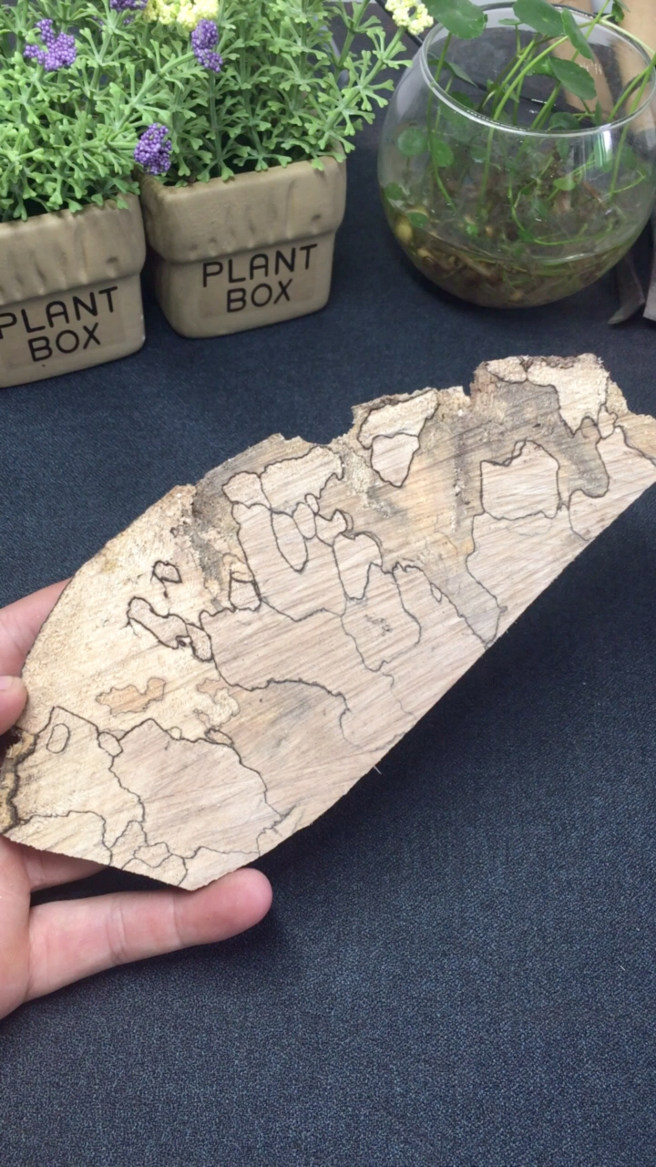 渍纹枫木独特的纹理,搭配金属外圈.