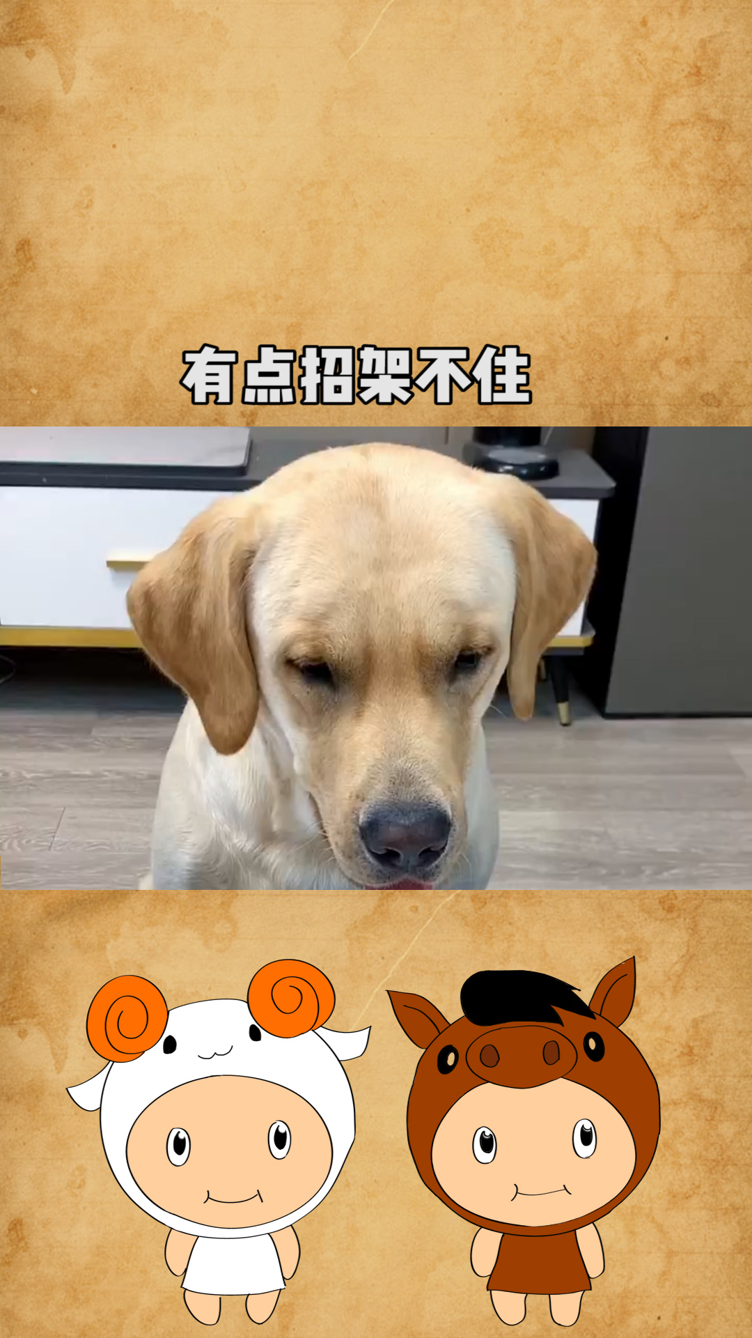 这狗子今天脾气怎么这么大,都有点招架不住了