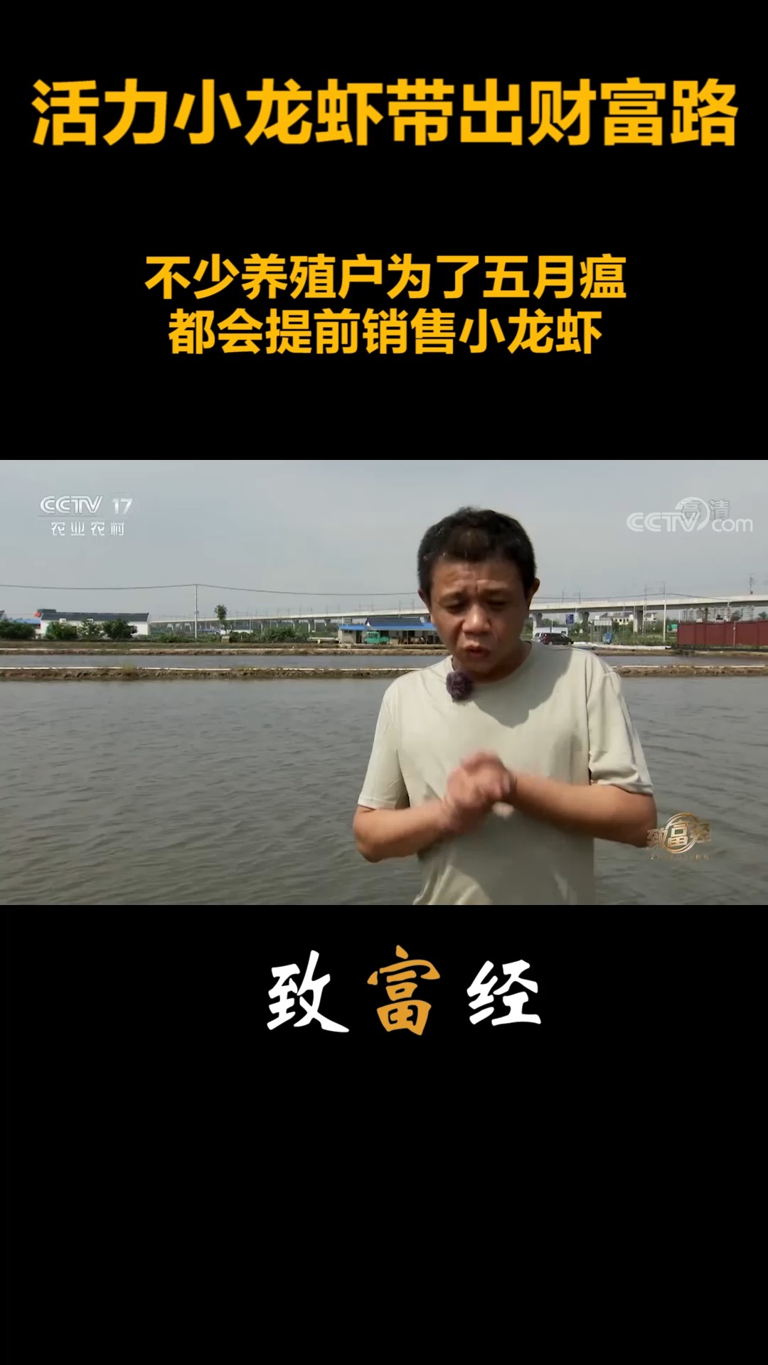 致富经小龙虾视频全集(致富经龙虾养殖技术视频)
