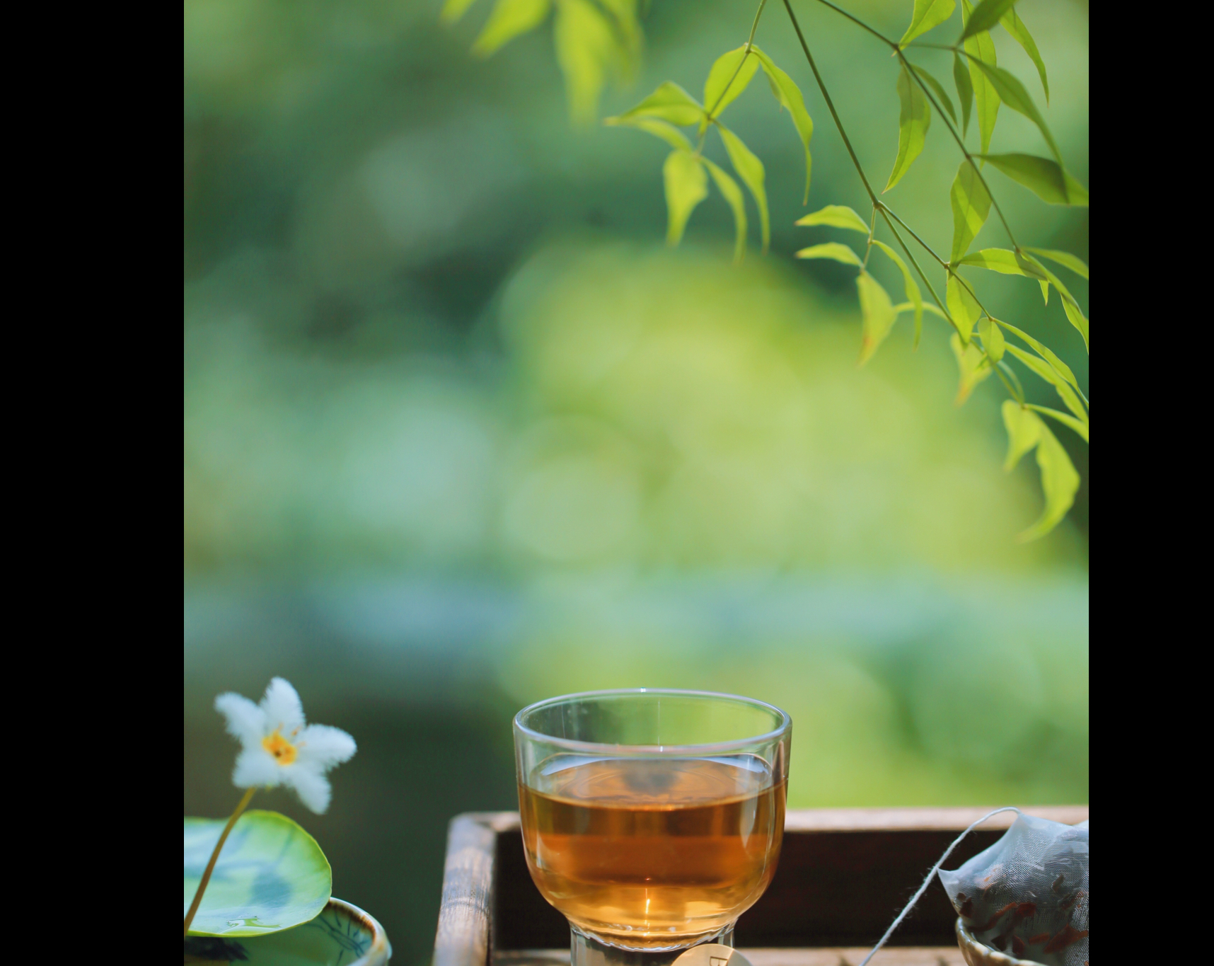 酒茶香-无论处在人生的什么阶段,都不要忘记给自己充电,具备满满能量