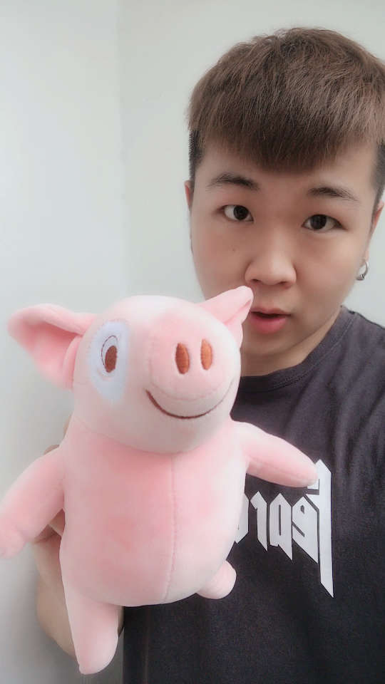 我们一起学猪叫吧,bbox版哦