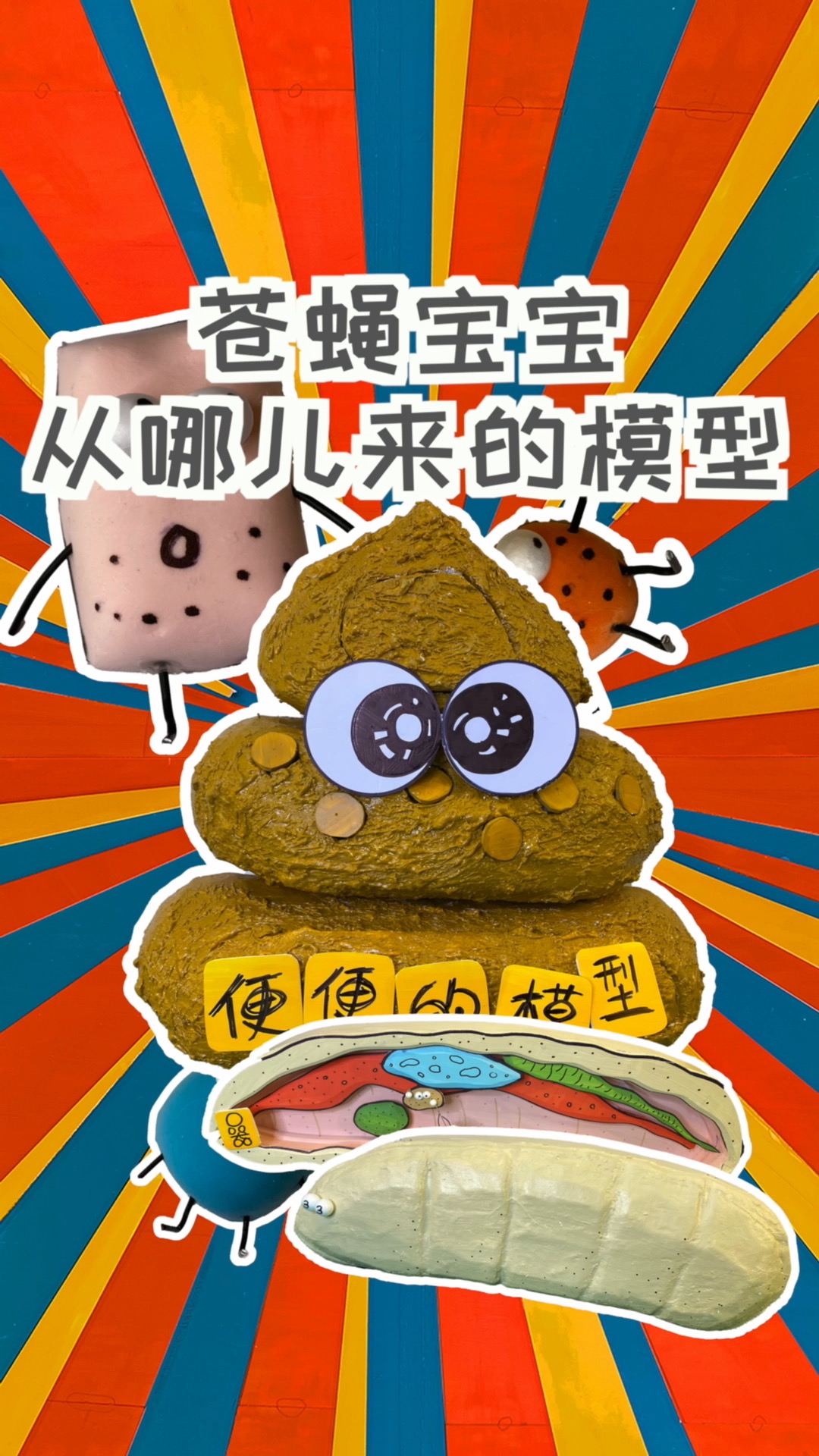 苍蝇宝宝从哪来?这是一条很有"味道"的视频!