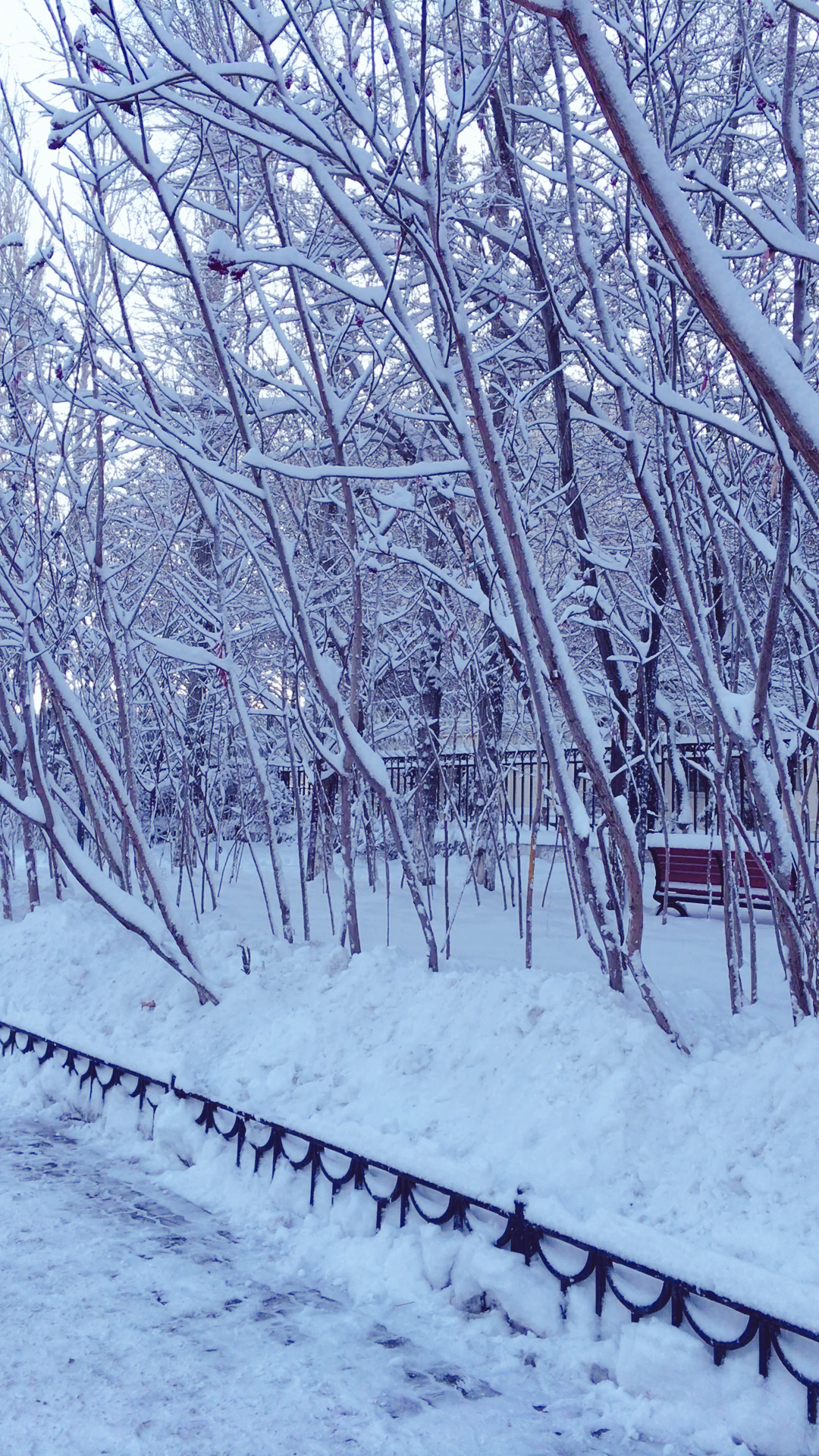 乌鲁木齐的雪,真美