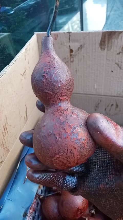 中国鬼葫芦传承第一人