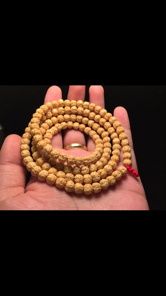 精品原桩小佛手菩提