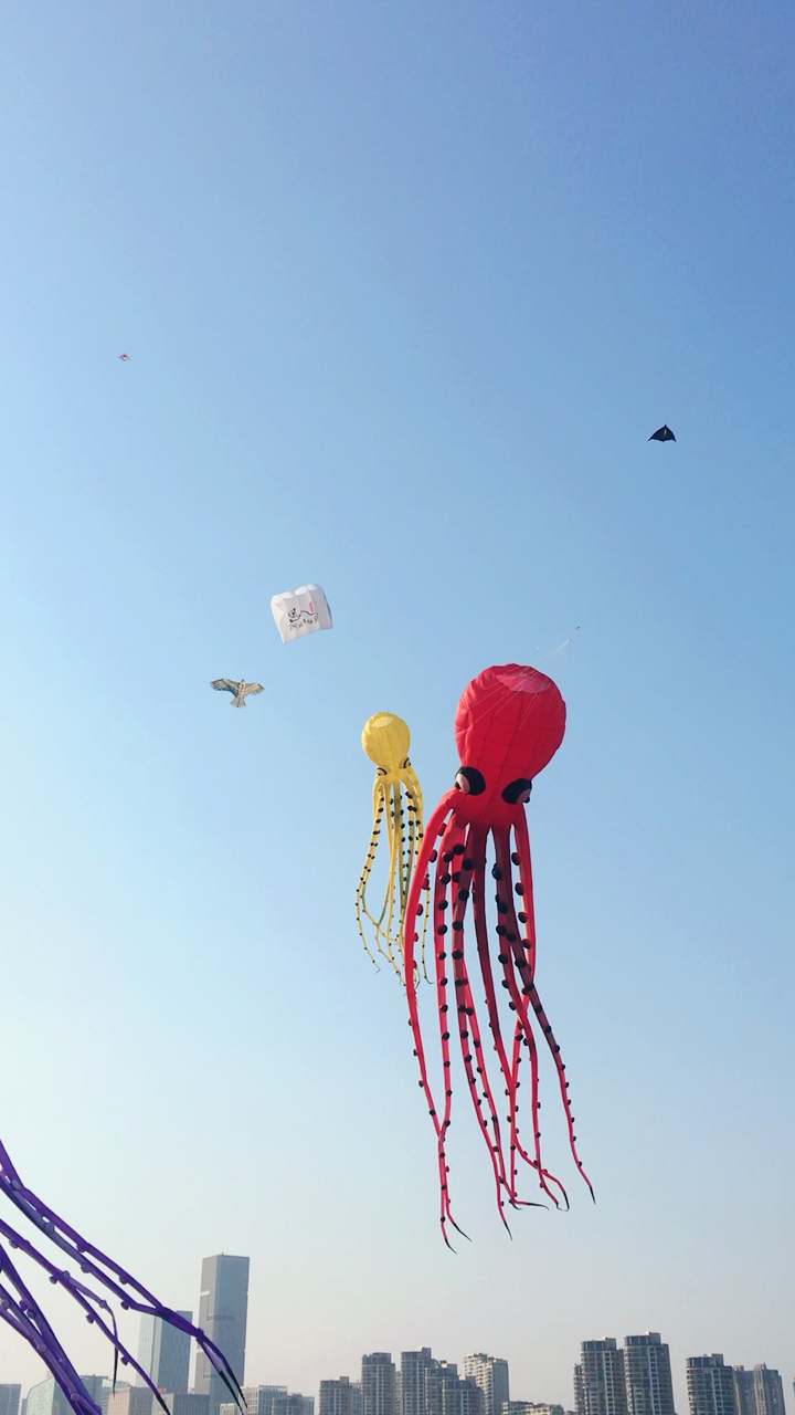 天空飘来三只鱿鱼