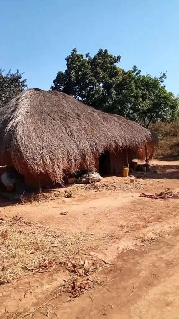 非洲人的房子