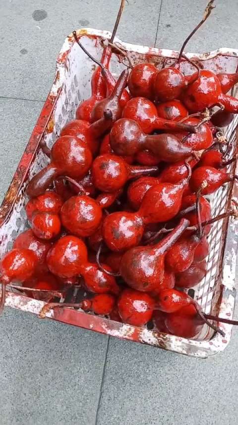 鬼葫芦正在进行中