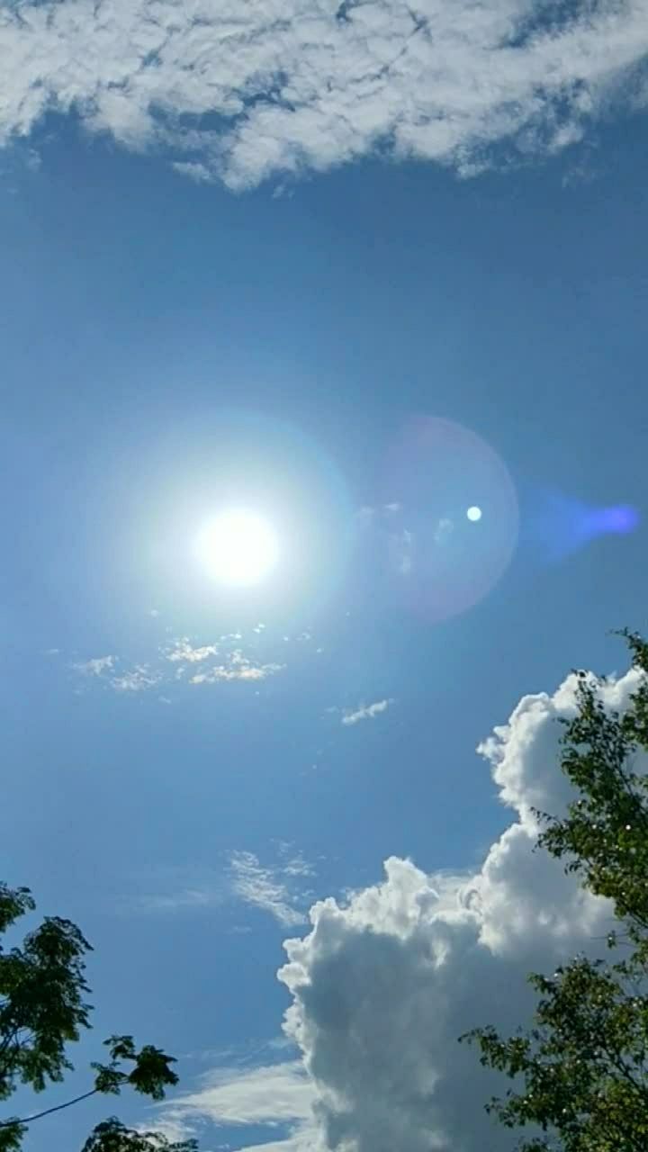 烈日当头,阴影变成蓝色,野草在酷热中昏睡