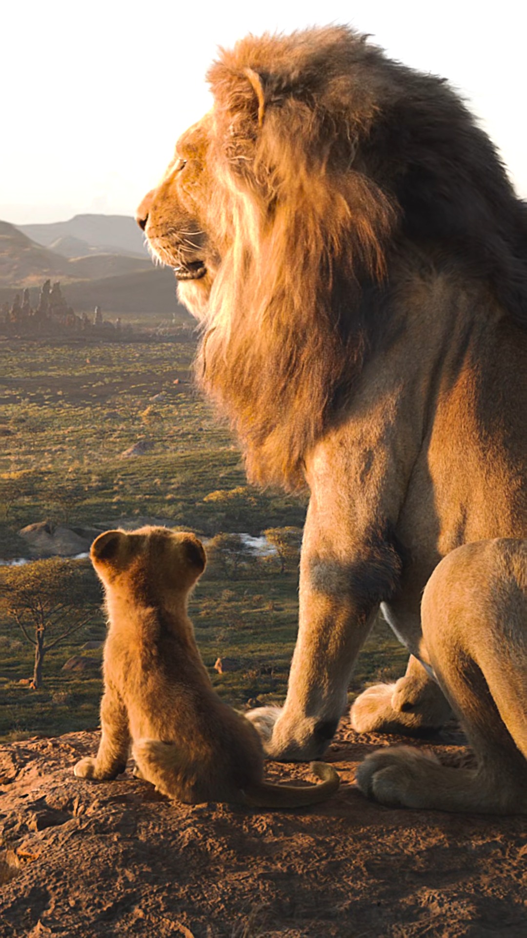 霸气威武的狮子,这么柔顺的毛发,用的什么洗发水?