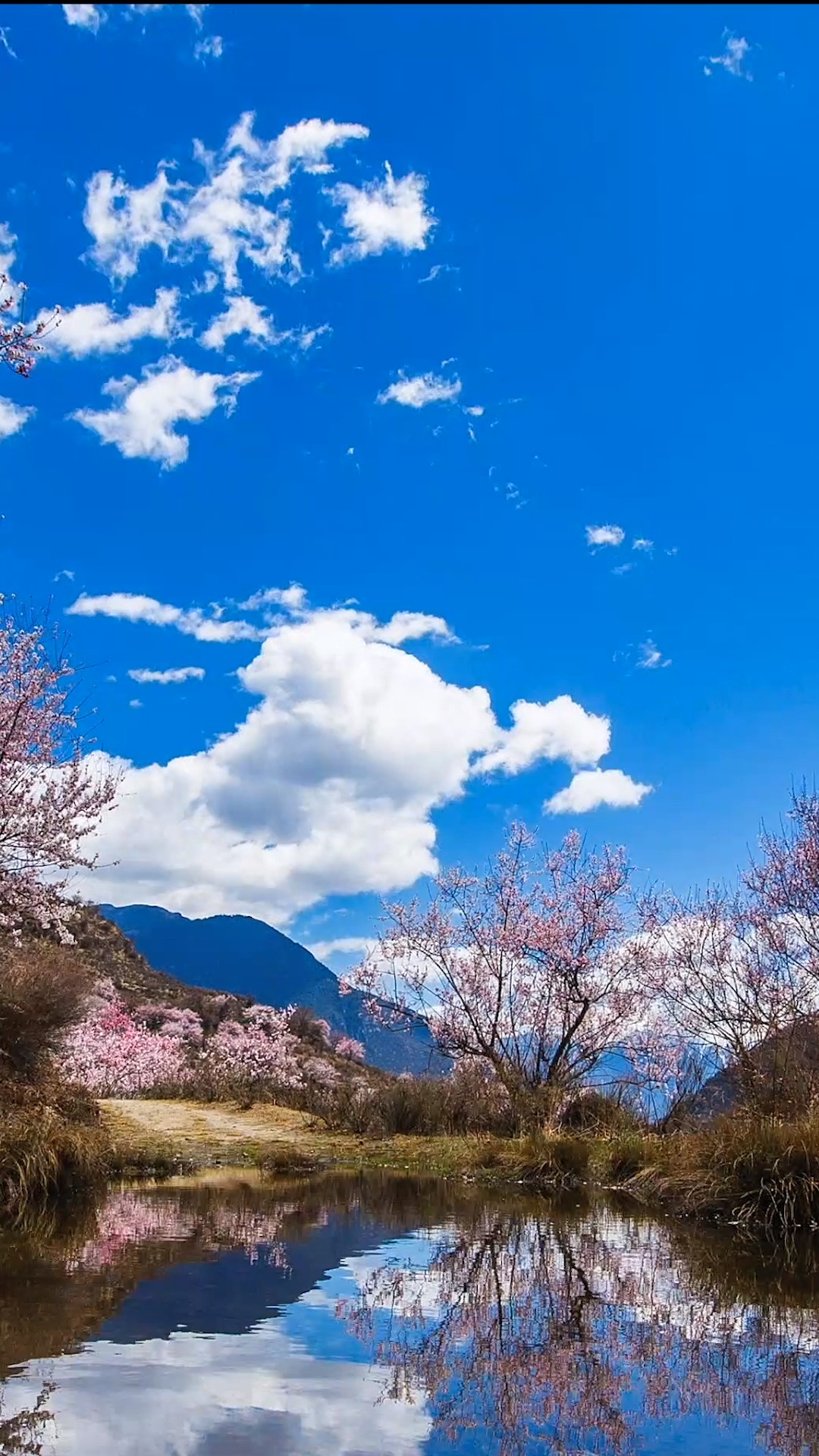 阳光正好,微风不燥,美好的时光总有不期而遇的温暖#美景