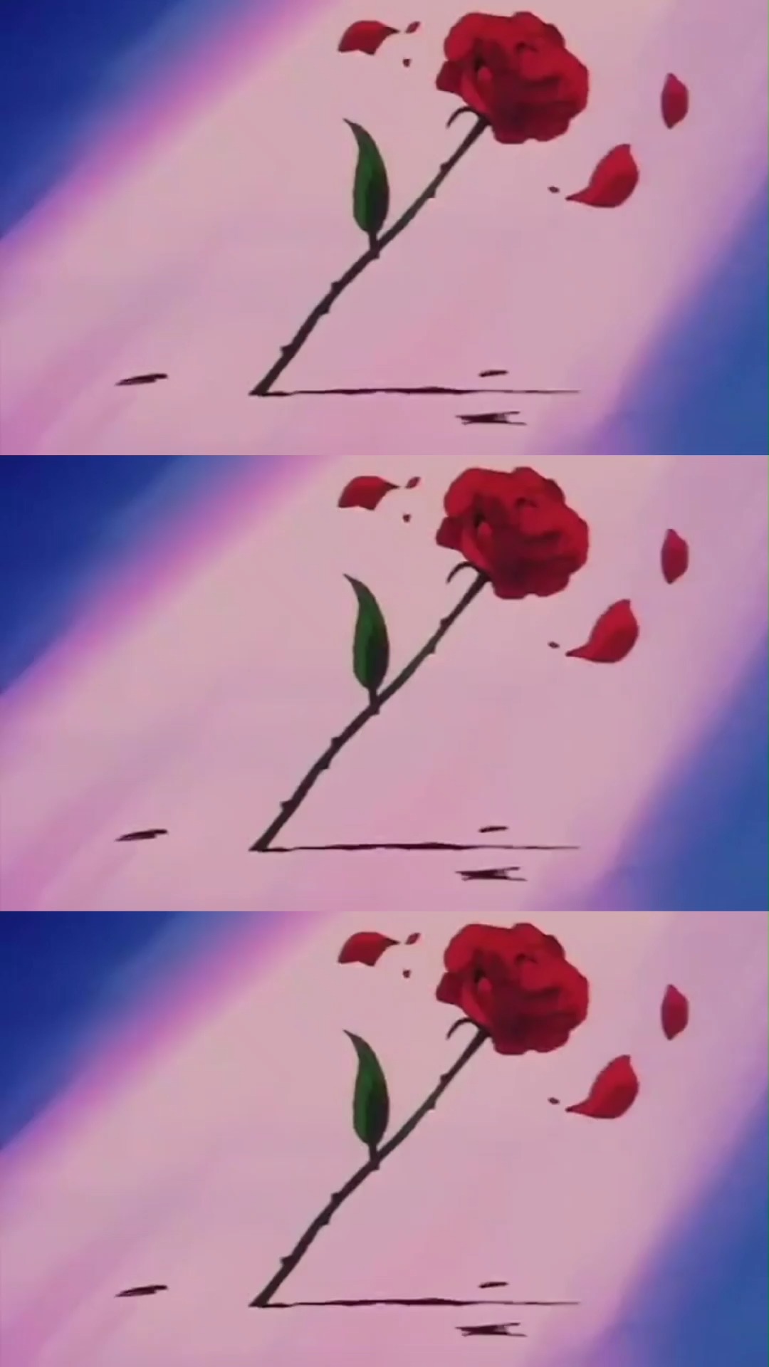 玫瑰花也凋零了#动漫