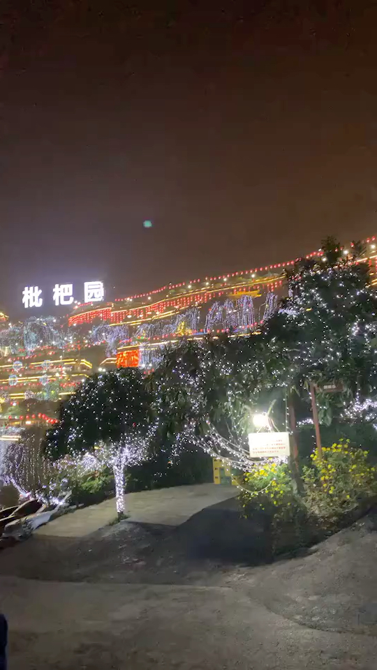 南山枇杷园夜景图片图片