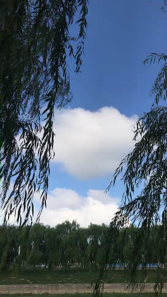 早安7715这么舒服的天气 微风凉爽还不冷的天  没几天了97