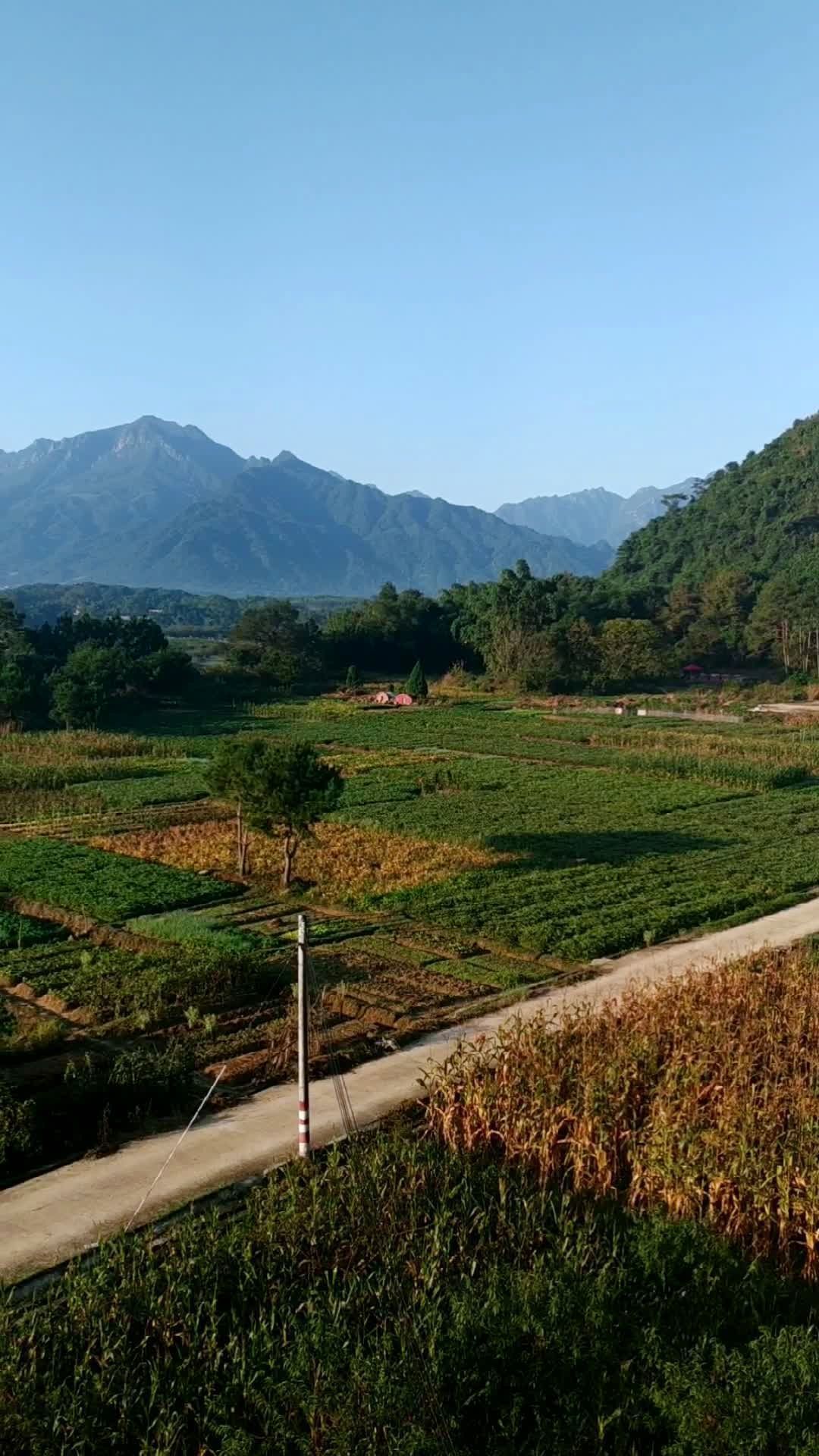 罗坑大草原.真好