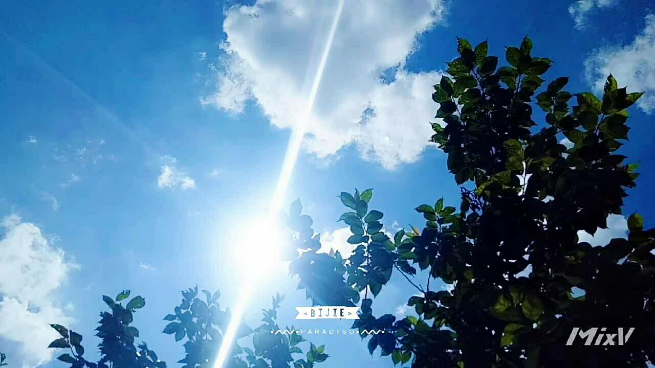 微风不臊,阳光正好