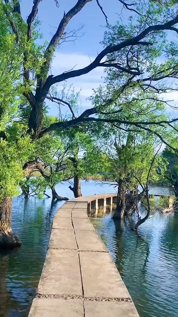 云南鹤庆黄龙潭