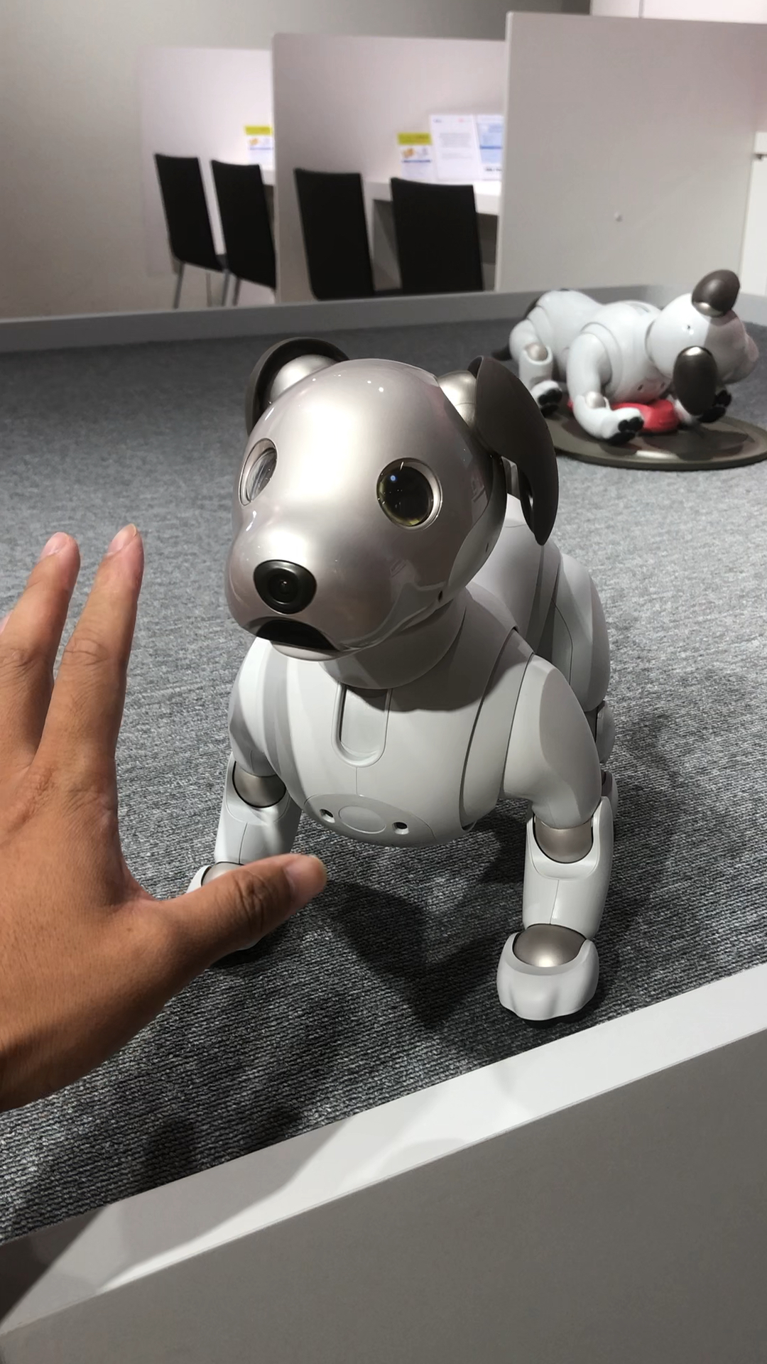 高科技仿真狗,你能想象有多么强大吗?
