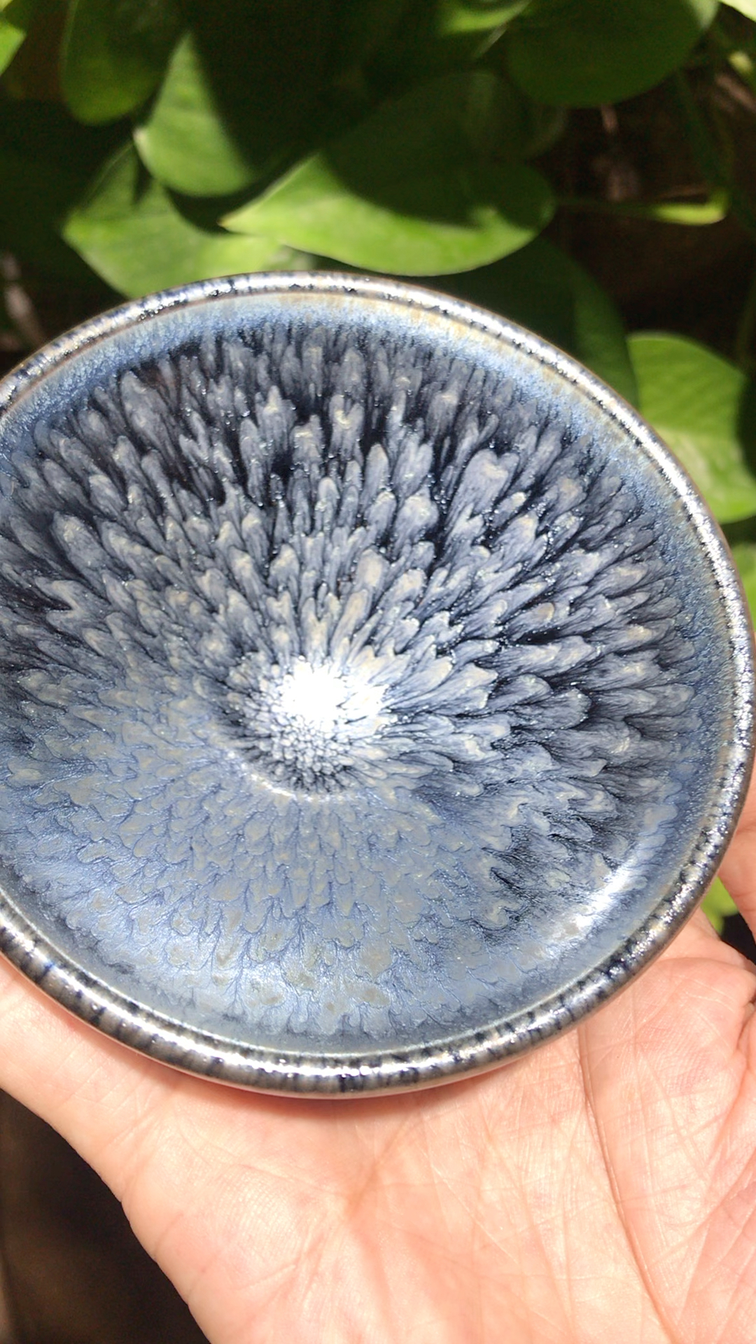 极品百花盏!层次分明