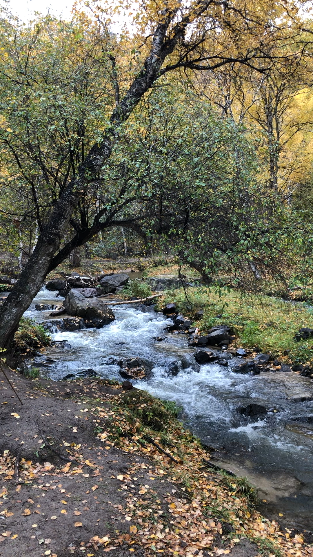 盘龙峡谷. 原生态的美