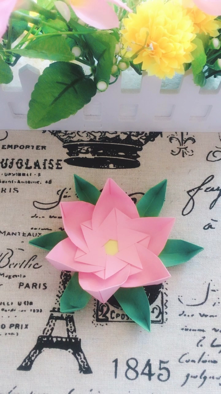 彩纸荷花美美哒