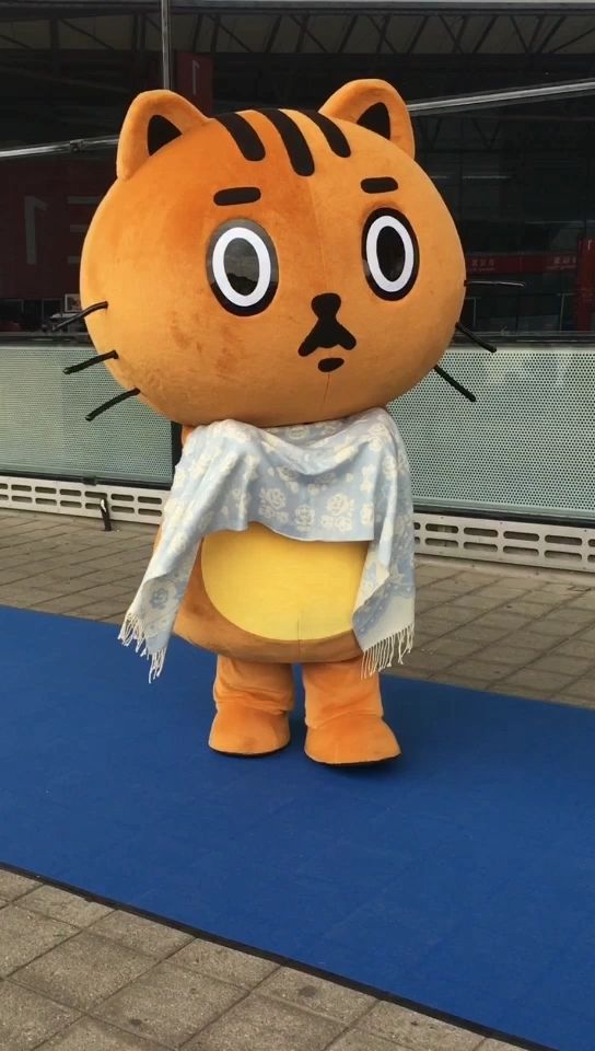 气温骤降的双十一,无需抢购,猫小乖暖心快递已安全送达15(●˙—˙