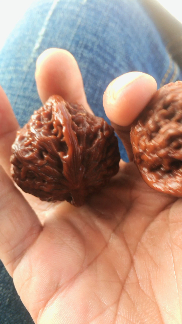 自玩一对北京雾灵山50年老树,同树,同时,同样大小尺寸核桃一对