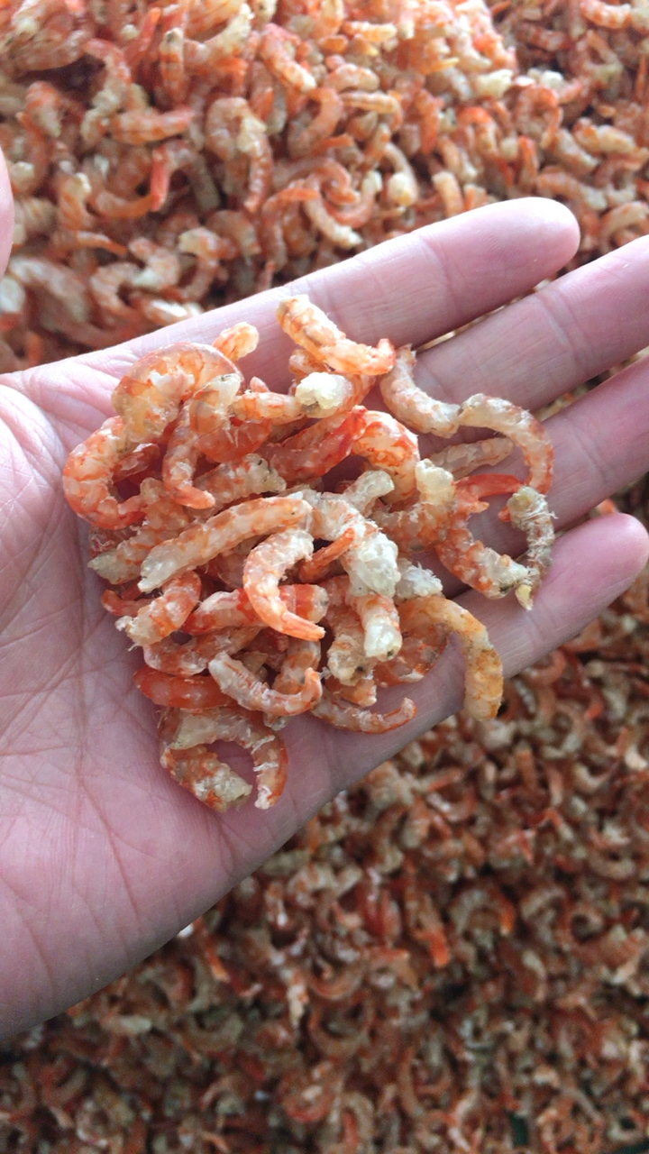 大海的馈赠家青岛崂山金钩海米