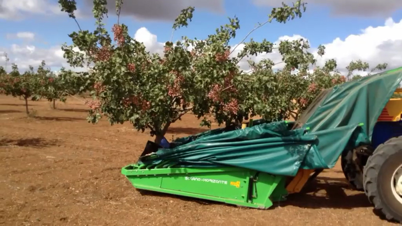 自动采收机 这样采摘果子是没有灵魂的98