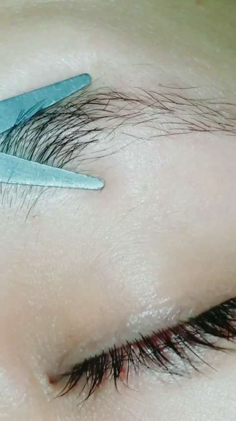 每一根睫毛都生于毛囊,随意揉,随便拉扯都完好无损