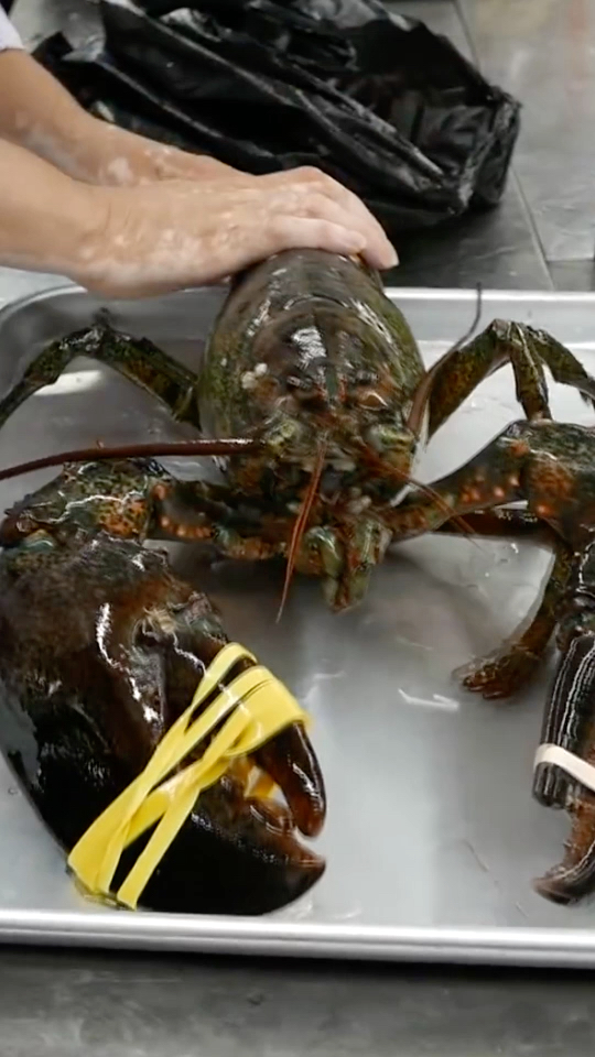 超大龙虾生肉,好鲜嫩的滋味