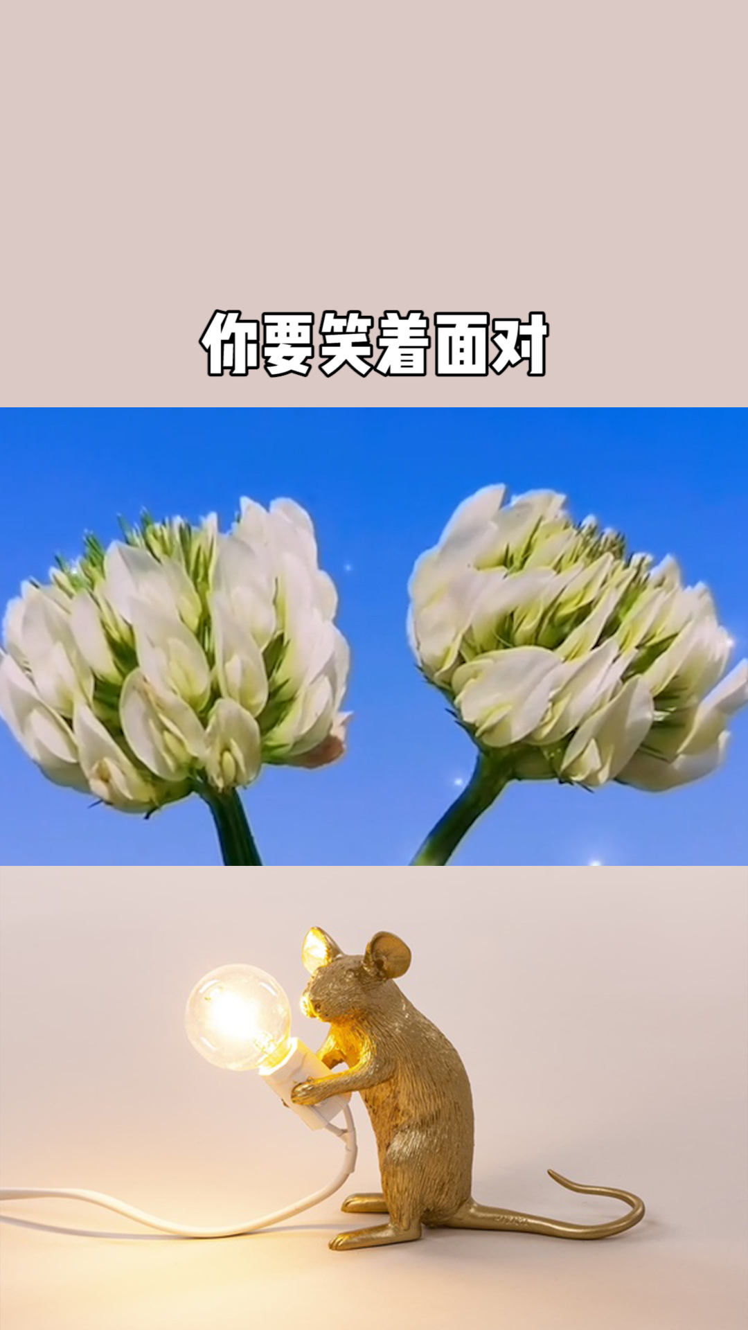 生活百般滋味,你要笑着面对!