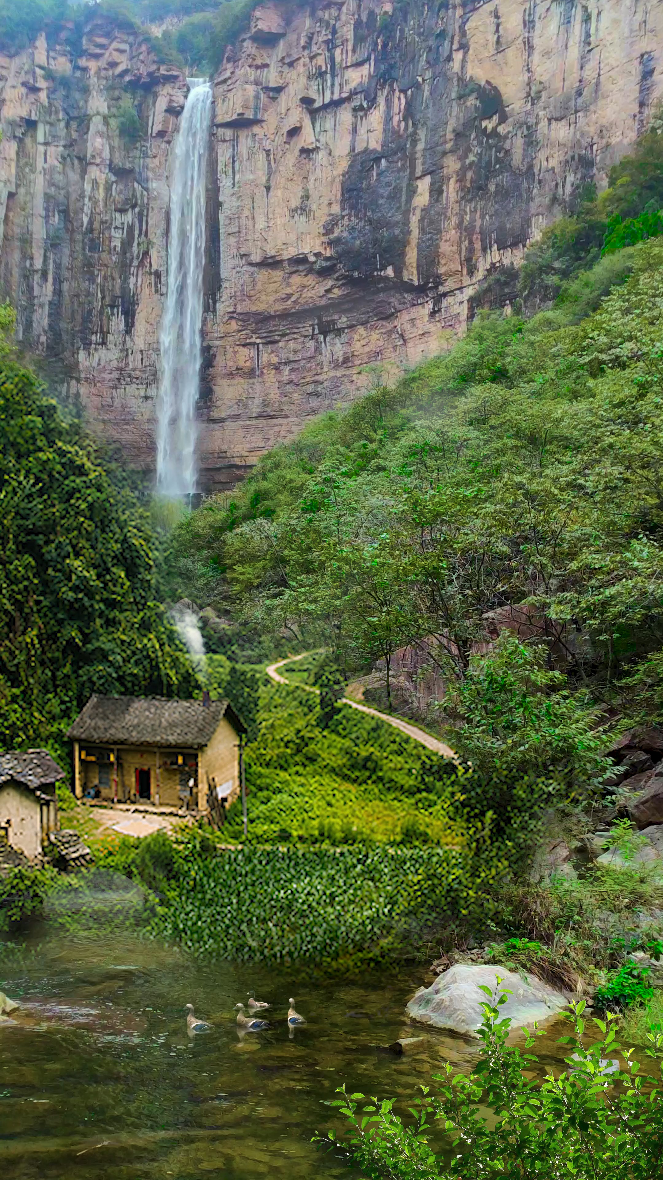 待我了无牵挂,从此归隐天涯,深山茅屋为家,远离城市繁华,芒市修篱种花