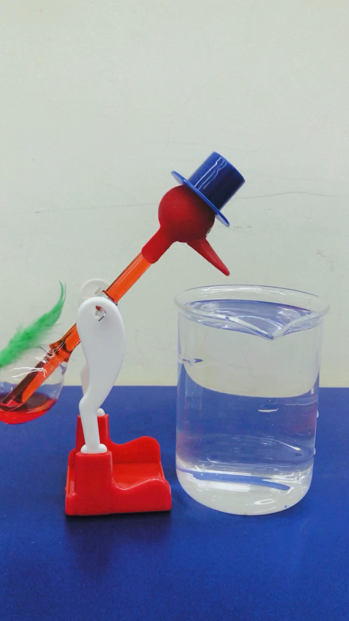 #爱因斯坦也称奇的饮水鸟#只要有水,小鸟就会一直不停地点头喝水哦!