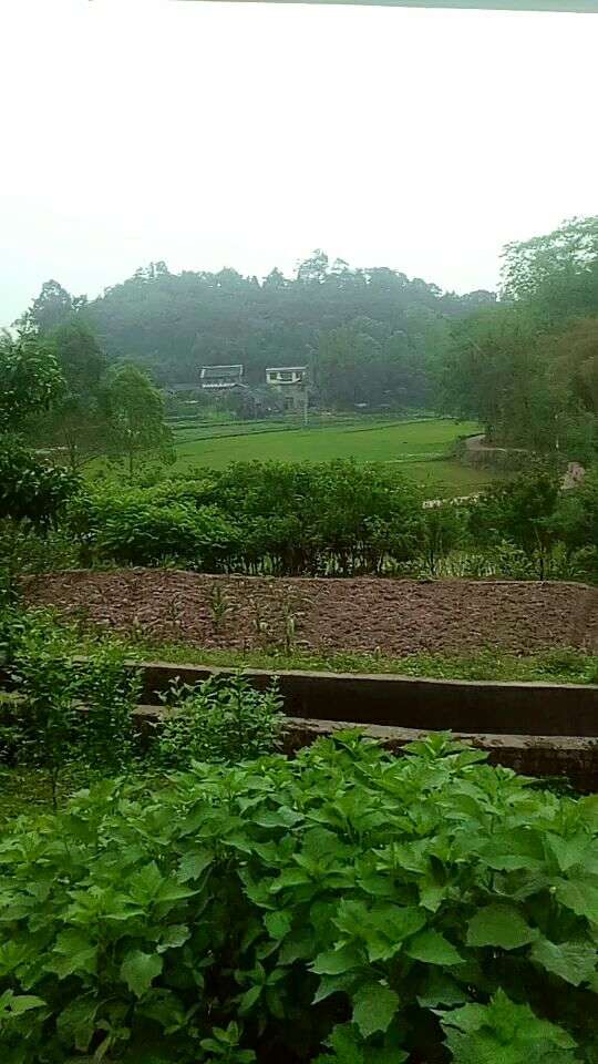 这个小山坳坳就是我的家!