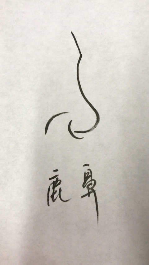 鹿鼻的面相特征